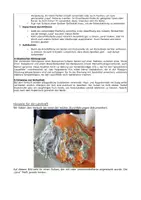 Vorschau - Experimente - Experiment: „Lava Vulkan“ selbstgebaut - Seite 1