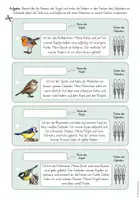 Vorschau - Arbeitsblätter - Heimische Vögel: Vogel-Fächer & Arbeitsblätter (1./2. Klasse) - Seite 3
