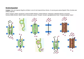 Vorschau - Arbeitsblätter - Strukturlegearbeit Transportvorgänge an der Biomembran - Seite 1