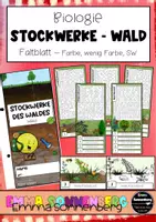 Vorschau - Merkblätter - Stockwerke des Waldes - Faltblatt / Infoblatt - Deckblatt