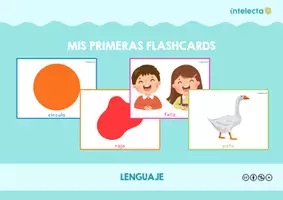 Vista previa - Tarjetas / Manipulativos - Mis primeras flashcards - página 1