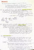 anteprima - Materiale di supporto/inclusione - Le Biotecnologie:red, white, green - Pagina 2