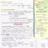 anteprima - Materiale di supporto/inclusione - 2 Metabolismo zuccheri - Pagina 1