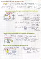 anteprima - Materiale di supporto/inclusione - INTEGRAZIONE delle VIE METABOLICHE - Pagina 1