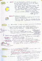 anteprima - Materiale di supporto/inclusione - INTEGRAZIONE delle VIE METABOLICHE - Pagina 2