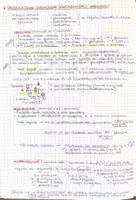 anteprima - Materiale di supporto/inclusione - INTEGRAZIONE delle VIE METABOLICHE - Pagina 3