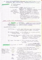 anteprima - Materiale di supporto/inclusione - LA SISTEMATICA: il regno animale - Pagina 3