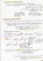 anteprima - Materiale di supporto/inclusione - Il Metabolismo dei lipidi edelle proteine - Pagina 1