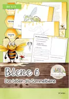 Vorschau - Arbeitsblätter - Biene 6: Leben als Sammelbiene - Sammelbein, Honigmagen... - Deckblatt
