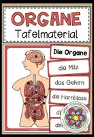 Vorschau - Poster - DIE ORGANE - Tafelmaterial - Deckblatt