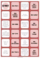 Vorschau - Spiele - DIE ORGANE - Begriffe Domino - Seite 2