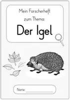 Vorschau - Unterrichtsreihen - Igel - Forscherheft / Unterrichtsreihe (Klasse 1) - Seite 3