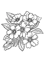 Vorschau - Arbeitsblätter - Blumen Ausmalbilder Fensterbilder Blumenstrauss Mandala Bilder ausmalen - Seite 3