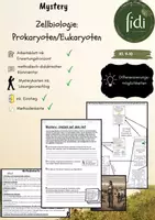Vorschau - Arbeitsblätter - Mystery Zellbiologie (Prokaryoten Eukaryoten): "Unglück auf dem Hof" - Deckblatt