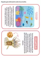 Vista previa - Manualidades / Dibujos para colorear - Los arrecifes - Tesoros Brillantes - página 3