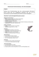 Vorschau - Klassenarbeiten - Klassenarbeit Tierbeschreibung Laternenzwerghai Klasse 5/6 - Seite 1