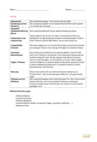 Vorschau - Klassenarbeiten - Klassenarbeit Tierbeschreibung Laternenzwerghai Klasse 5/6 - Seite 2