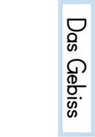 Vorschau - Präsentationen/Tafelbilder - Tafelmaterial: Das Gebiss - Zahnarten - Seite 2