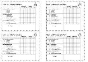 Vorschau - Lehrpläne/Lehrermaterial - Karteikarten zur Schülerbeobachtung - Seite 2