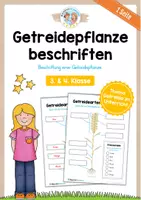 Vorschau - Arbeitsblätter - Getreidepflanze beschriften - Deckblatt