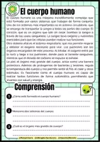Vista previa - Refuerzo / NEE / Materiales de apoyo - CUADERNO TRANSVERSAL - página 3