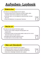 Vorschau - Arbeitsblätter - Lapbook zum Thema "Mein Körper" | Unterrichtsreihe "Der Mensch", Biologie 5./6. Klasse - Seite 1