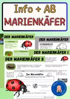 Vorschau - Arbeitsblätter - Marienkäfer - Sachtext, Kartei und Arbeitsblatt - Deckblatt