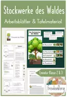 Vorschau - Arbeitsblätter - 6. Stunde: Die Stockwerke des Waldes (ABs + Tafelmaterial) - Deckblatt