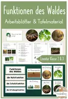Vorschau - Arbeitsblätter - 8. Stunde: Funktionen des Waldes - Warum der Wald wichtig ist - Deckblatt