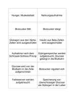 Vorschau - Arbeitsblätter - Diabetes mellitus Blutzuckerregelkreis mit Lösung - Seite 2
