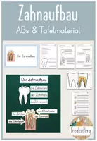 Vorschau - Mal- und Bastelvorlagen - 5. Stunde: Zahnaufbau - Deckblatt