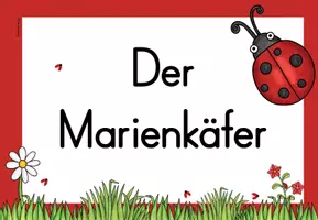 Vorschau - Anderer Materialtyp - Themenplakat - Marienkäfer - Seite 3