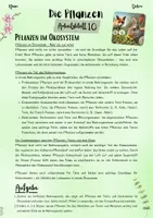 Vorschau - Unterrichtsreihen - Pflanzen | Botanik: Pflanzen im Ökosystem – Mehr als nur grün! (5. & 6. Klasse, Nawi und Biologie) - Seite 1