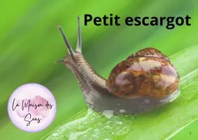 Aperçu - Préparation de séance / Séance complète - Kit pédagogique l'escargot - Page 1