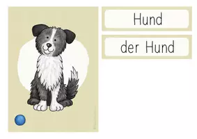 Vorschau - Fördermaterial/Inklusion - Bildkarten - Hof-& Haustiere (DAZ/ DAF) - Seite 1