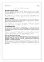 Vorschau - Stundenentwürfe - Informationen und Bewegung - Das Harnsystem - Seite 2