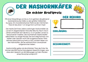 Vorschau - Arbeitsblätter - Rekorde der Wirbellosen - Infotexte - Seite 2