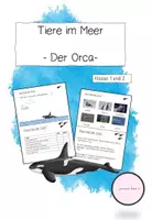 Vorschau - Stationenlernen - Lerntheke: Der Orca (Meerestiere) #summer - Deckblatt