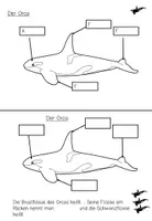 Vorschau - Stationenlernen - Lerntheke: Der Orca (Meerestiere) #summer - Seite 3