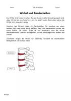 Vorschau - Arbeitsblätter - Die Wirbelsäule entdecken - Modellbau - Seite 2
