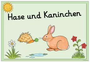 Vorschau - Poster - Themenplakat/Poster "Hase und Kaninchen" - Seite 2