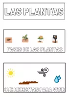 Vista previa - Manualidades / Dibujos para colorear - LAPBOOK - Las plantas 1ºED.PRIMARIA - página 1