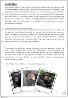 Vorschau - Anderer Materialtyp - Sachtext / Leistungsüberprüfung: Schimpansen - Seite 3