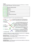 Vorschau - Arbeitsblätter - Arbeitsblätter zum Bau des Neurons - Seite 2
