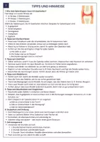 Vorschau - Arbeitsblätter - Gelenkte kneten und verstehen - Aufgaben und Hilfestellung - Seite 1