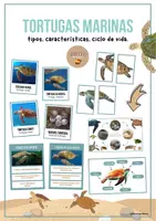 Vista previa - Unidades / Secuencias / Situaciones de Aprendizaje - Tortugas marinas - Tesoros Brillantes - Portada