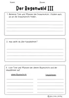 Vorschau - Arbeitsblätter - Tropischer Regenwald - Seite 3