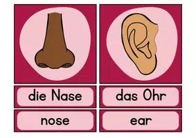 Vorschau - Präsentationen/Tafelbilder - Body Parts/Körperteile - Flashcards - Seite 3