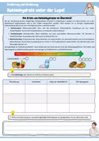 Vorschau - Arbeitsblätter - Kohlenhydrate unter der Lupe! (Funktionen von Kohlenhydraten, Ballaststoffe, Suchsel: Lebensmittel mit hohem Anteil an Kohlenhydraten) - Seite 2