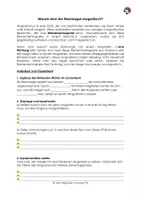 Vorschau - Arbeitsblätter - Experiment: Vom Eisennagel zum Magneten - Seite 3